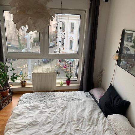 Am Clara-Zetkin-Park, Netflix, Lichtdurchflutet Appartement Leipzig Buitenkant foto